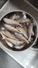 弹指鲜生舟山野生小黄鱼  新鲜冷冻海捕黄花鱼 生鲜鱼类烧烤食材 【小号】约18-20条/斤4斤净重 实拍图