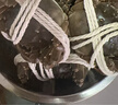 【活蟹】乾澄大闸蟹现货 全母蟹2.8-3.1两 10只 去绳足重鲜活螃蟹河蟹海鲜礼盒源头直发 实拍图