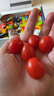 新鲜采摘圣女果樱桃小番茄蔬菜 带箱5斤精选果 实拍图