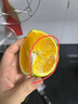 XIAOBO FARM正宗赣南脐橙甜橙 鲜橙子手剥橙榨汁果冻橙冰糖半价水果 4.5-5斤60mm+ 实拍图