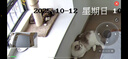 Technics【保价双11】尊享款AZ80 真无线蓝牙主动降噪入耳耳机松下HIFI系列支持LDAC/无线充电适用苹果安卓 EAH-AZ80黑色【国行】 实拍图