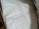 IZEIZIG双层羽绒床垫五星级酒店超软垫加厚白鹅绒双重垫被褥子家用床褥子 白色 150x200cm 实拍图