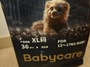 babycare皇室狮子王国弱酸纸尿裤婴儿超薄透气干爽尿不湿 皇室纸尿裤XL36片 实拍图