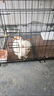 喵末狗笼子大中小型犬狗窝带厕所折叠便携猫笼子超大号狗狗围栏宠物笼 黑色50*33*38 适合10斤内 基础款：防卡脚垫+托盘厕所 实拍图