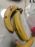 黄胖子进口香蕉650g 实拍图