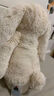 Jellycat害羞乳白色邦尼兔动物毛绒玩偶安抚玩偶娃娃新年生日礼物 害羞银色邦尼兔 Medium 实拍图