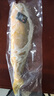 鸿顺深海野化黄花鱼1200g/2条 宁德大黄鱼 冷冻海鲜 礼盒 源头直发 实拍图