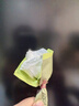 泰迪熊（Teddy Bear）臻薄透气拉拉裤XXL60片(15公斤以上)超薄干爽婴儿尿不湿成长裤 实拍图