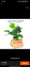 绿林（GREENER）47件套筒扳手汽修工具箱套装棘轮摩托修车公路全套快速扭力螺丝 实拍图