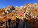 伯希和（Pelliot）冲锋软壳衣春秋防风衣防泼水收腰女士外套休闲登山服12330602橘S 实拍图