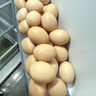 京鲜生【每日鲜蛋】无抗谷物鲜鸡蛋15枚/盒 1.5斤 源头直发 实拍图