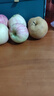 甜果源 攀枝花凯特芒果 大青皮芒果老树煌芒台应季时令礼盒新鲜水果包邮 5斤【单果200-300g】净重4.5-4.9斤 实拍图