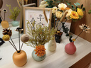 舒趣乐轻奢家居乔迁装饰入户门口鞋柜花艺摆件电视柜玄关装饰品 四件套含干花【生活像花一样美】 实拍图