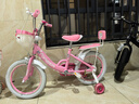 永久儿童自行车3-8岁小孩脚踏单车宝宝中大童女孩公主款童车 【升级-白胎】小猫粉+护具礼包 16寸 实拍图