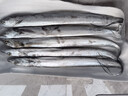 七冰东 带鱼 新鲜特级大带鱼整条 海钓宽带鱼段整箱 海鲜水产 生鲜 鱼类 5斤装（1-1.4斤/条） 实拍图
