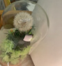 RoseBox蒲公英永生花摆件生日礼物儿童节高级送女生朋友毕业礼品老师同学 实拍图