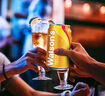 屈臣氏（Watsons）干姜水风味汽水0脂调酒饮料气泡水聚会330mL*24罐装整箱 实拍图