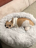 憨憨乐园狗窝猫窝垫子小型犬泰迪宠物窝床猫咪狗狗四季保暖窝垫子长毛窝M 实拍图