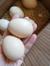 大码鸡蛋50g正负5g/枚散养土鸡蛋新鲜鸡蛋溏心蛋早餐必备京东包邮 6枚土鸡蛋50g 实拍图