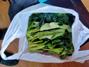 鹿凌青农家新鲜中花芥兰菜应季蔬菜广东芥兰芥蓝好吃下饭菜发顺丰 【顺丰】泡沫箱加冰袋（偏细） 【精选中小兰】2斤装 实拍图