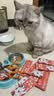 软罐头猫罐头整箱猫咪零食猫主食罐补充营养补水猫零食成猫幼湿粮 金枪鱼+鸡丝/有鱼有肉两种美味 40g*12包 实拍图