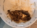 华味亨香酥小黄鱼98g/袋舟山海味即食鲜卤多汁小鱼干仔 实拍图