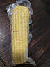 京鲜生 东北白糯玉米230g*8棒 新鲜甜糯玉米棒真空包装粘玉米 源头直发 实拍图