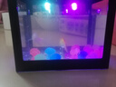 桌面鱼缸小型家用积木缸生态缸水族箱斗鱼缸带小夜灯氛围灯摆件 黑色鱼缸两个灯+夜光鸭子约50颗 实拍图