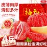 京地达柚子福建平和红心蜜柚新鲜水果净重4.5斤单果900g+红柚源头直发 实拍图