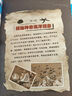 你不可不知的恐龙之谜 世界未解之谜 中小学生科普读物少儿百科三四五六年级课外阅读书 少年探索发现系列  实拍图