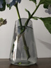 京东鲜花 北欧ins风简约玻璃花瓶水培鲜花插花小花瓶客厅餐桌水养创意摆件 实拍图