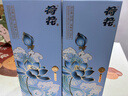 荷花 酱5 酱香型白酒 53度 520ml*2双瓶装 口粮自饮 大曲坤沙 新品 实拍图