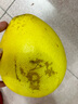 趣鲜语正宗红心柚子蜜柚【爆甜多汁】新鲜当季孕妇水果现摘红肉琯溪礼盒 5斤-【精挑款2-3个装净重4.5】 实拍图
