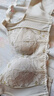 浪莎内衣女小胸聚拢文胸显大无钢圈收副乳调整型上托胸罩 香槟色36AB 实拍图