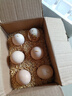大码鸡蛋50g正负5g/枚散养土鸡蛋新鲜鸡蛋溏心蛋早餐必备京东包邮 6枚土鸡蛋50g 实拍图