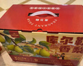 嘎啦苹果4-5粒800g 实拍图