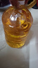 金龙鱼 食用油 非转基因 物理压榨玉米油6.18L（蕴含植物甾醇） 实拍图