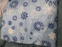梦多福 水床垫 冰垫水床夏天防褥疮单人宿舍避暑神器冰床垫凝胶 70*170CM雪花(凝胶款)+冰枕*1 实拍图