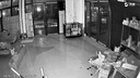 茨格曼狗狗窝冬季猫窝封闭式狗房子小型犬室内猫咪窝保暖狗屋猫屋宠物窝 XL号-建议28斤内宠物 实拍图