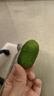 佳沛（zespri）新西兰  阳光金奇异果10粒礼盒巨大果单果约144-175g 水果 猕猴桃 实拍图
