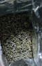 崂乡2025崂山绿茶50g和意桶装便利携带品尝装崂山绿茶青岛特产筒装 实拍图