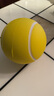 握力球康复训练手指康复球练手力握力偏瘫中风脑梗脑血栓训练器材 黄色握力球【25磅适中力度】 实拍图