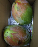京鲜生 攀枝花凯特芒果 净重8.5斤 带箱9斤 单果500g+ 生鲜水果源头直发 实拍图
