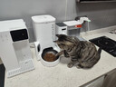 小佩宠物AI智能自动喂食器可视版 定时定量 猫狗宠物喂食 视频监控 实拍图