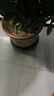 漫生活花盆托底盘移动花盆托盘外径450mm加厚万向轮带轮花托底座6轮大号 实拍图