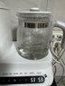 孕贝奶瓶消毒柜 烘干恒温烧水壶温奶器二合一体机热暖奶器婴儿 4.5L 实拍图