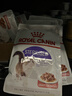 皇家猫粮 猫罐头猫零食猫湿粮宠物进口成猫主食软包罐头 通用粮 【绝育成猫】SAGP浓汤肉块85g*7袋 实拍图