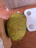 京鲜生越南进口菠萝蜜一整个净重10-12斤新鲜水果源头直发一件包邮 实拍图