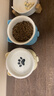 憨憨乐园猫碗陶瓷猫粮双碗斜口狗碗狗盆狗粮宠物幼猫咪吃饭食盆喝水喂食 实拍图