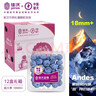 佳沃 JOYVIO 秘鲁蓝莓超大果18mm+12盒原箱装125g/盒 水果礼盒 实拍图
